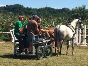 Uspehi srediških konjenikov na hrvaškem 2
